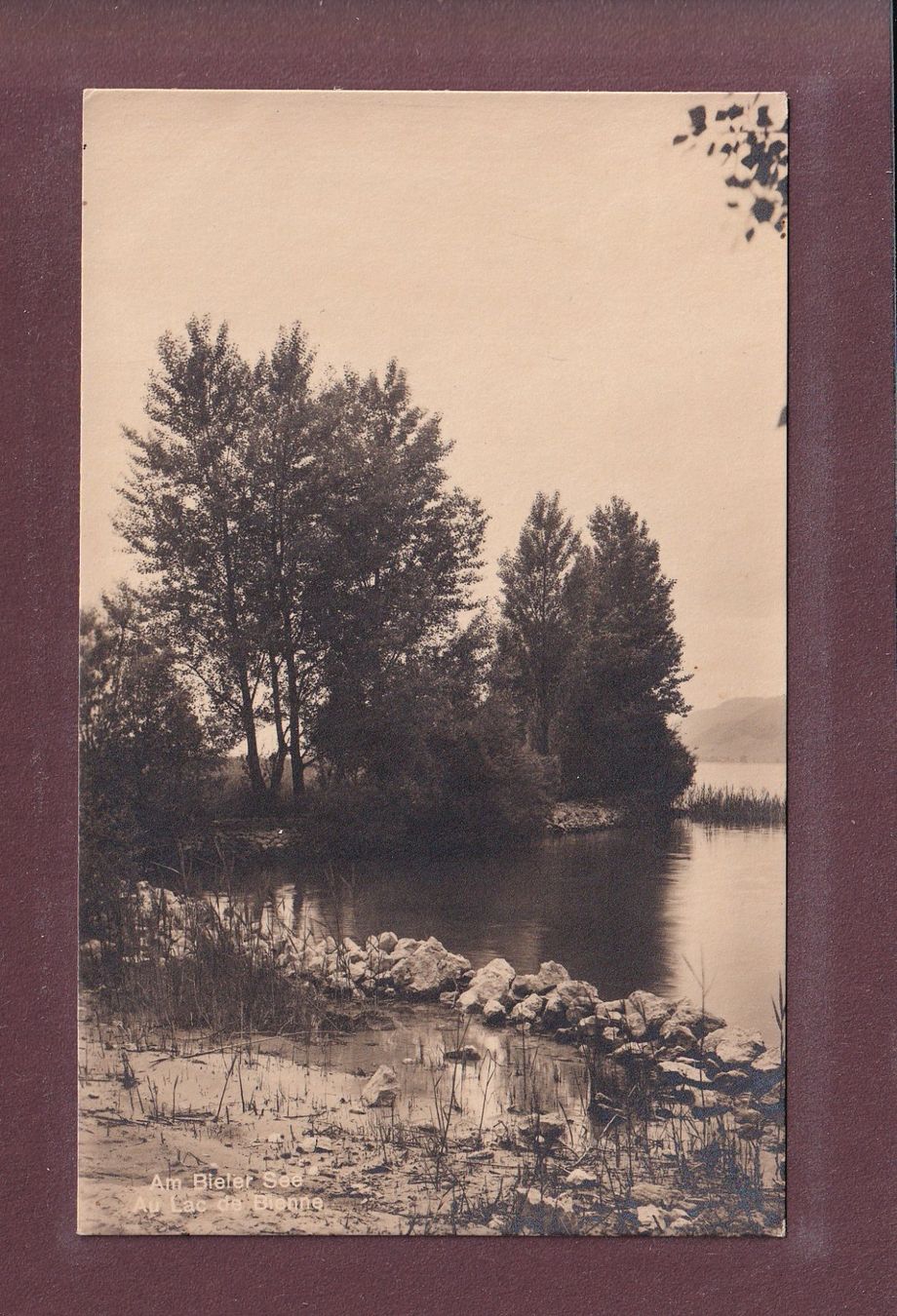 Cartoline postali: Am BIELER SEE - Au LAC DE BIENNE – Usato da Pully venduto da nicecards