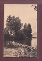 Am BIELER SEE - Au LAC DE BIENNE