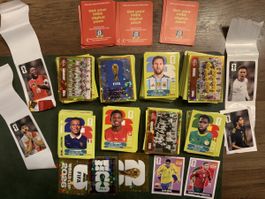 über 700 Panini 2026 Sticker