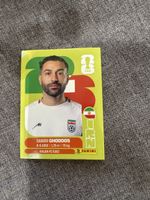 Panini IRN 12