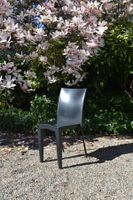 Miss Global Stuhl von Kartell