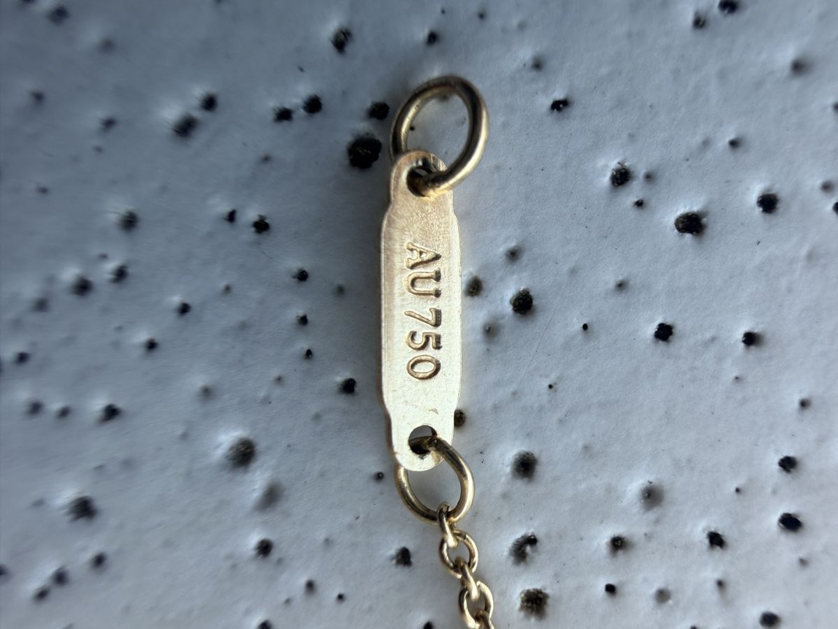 Tiffany & Co. Catenine: Tiffany & Co 750AU Halskette – Usato da Forch venduto da Speedyrun 3
