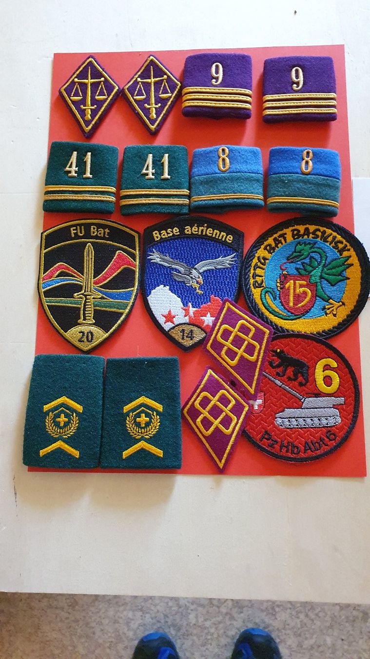 Schweizer Armee Placchette & Badge: Diverse Abzeichen Schweizer Militär – Usato da Richigen venduto da Auerhahn11 1