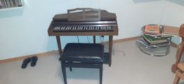 Digital Harpsichord ROLAND C-50 Cembalo