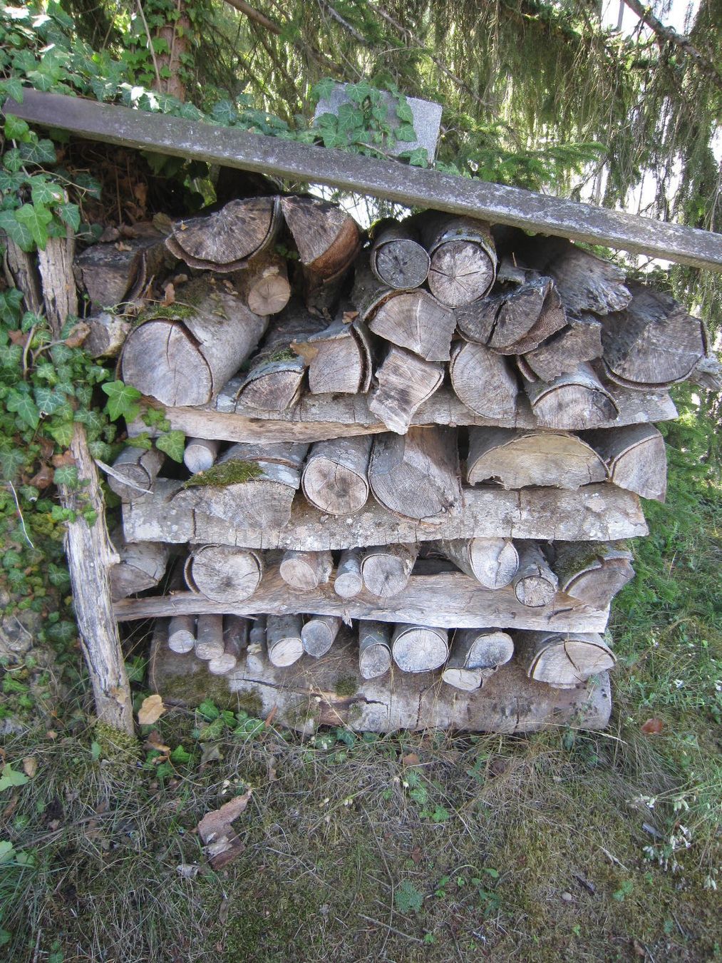Articoli in legno: Brennholz Buche – Usato da Böttstein venduto da koehlerkafi 2