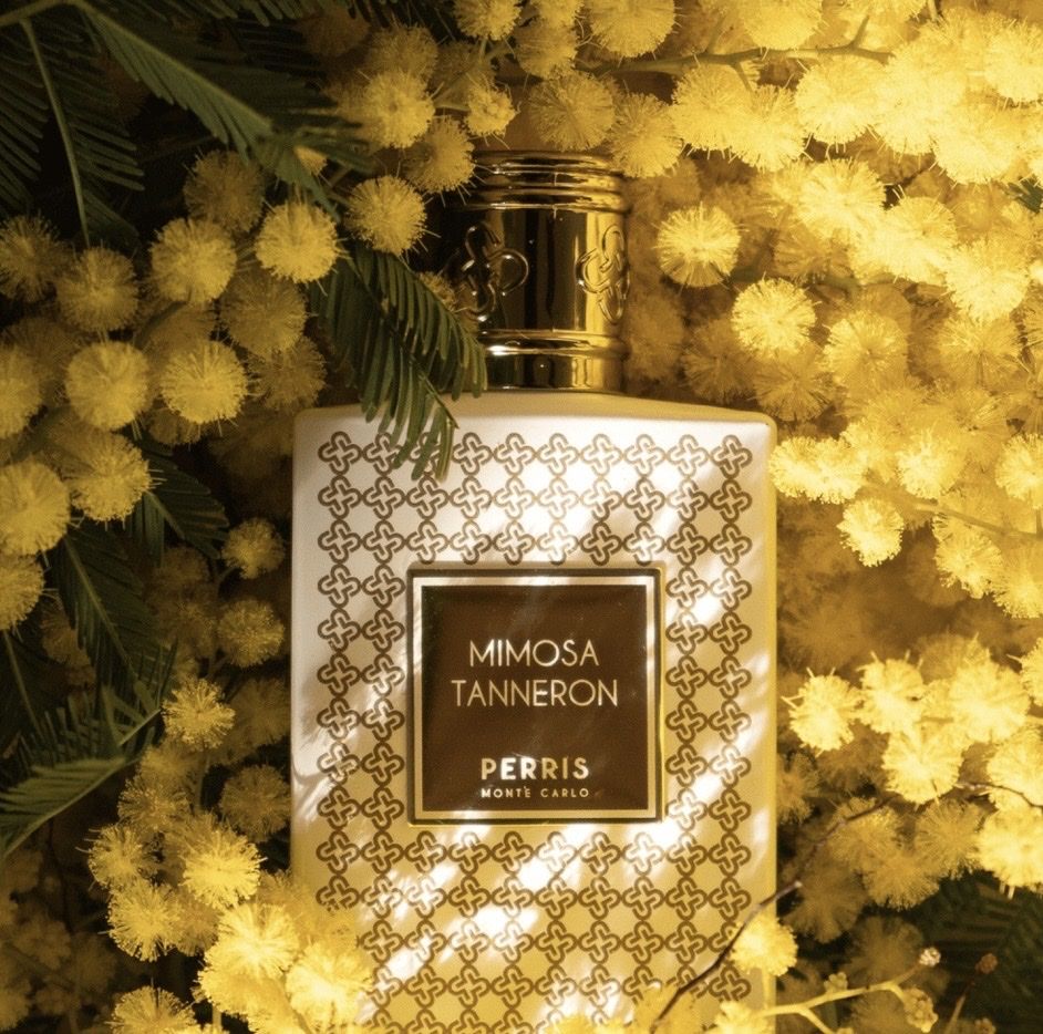 Profumi & Eau de Toilette: Mimosa Tanneron Perris Monte Carlo 100ml – Usato da Mönchaltorf venduto da alpina_1 5