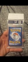 pikachu grey van gigh