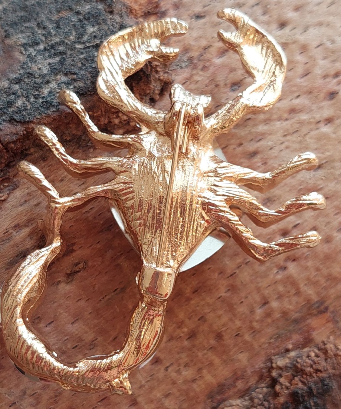 Spille & Fermagli: Goldfarbene Skorpion Brosche mit Schmucksteinen – Nuovo (secondo la descrizione) da Oberwil BL venduto da Hunajakakku 7