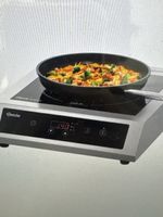 Induction Stove 