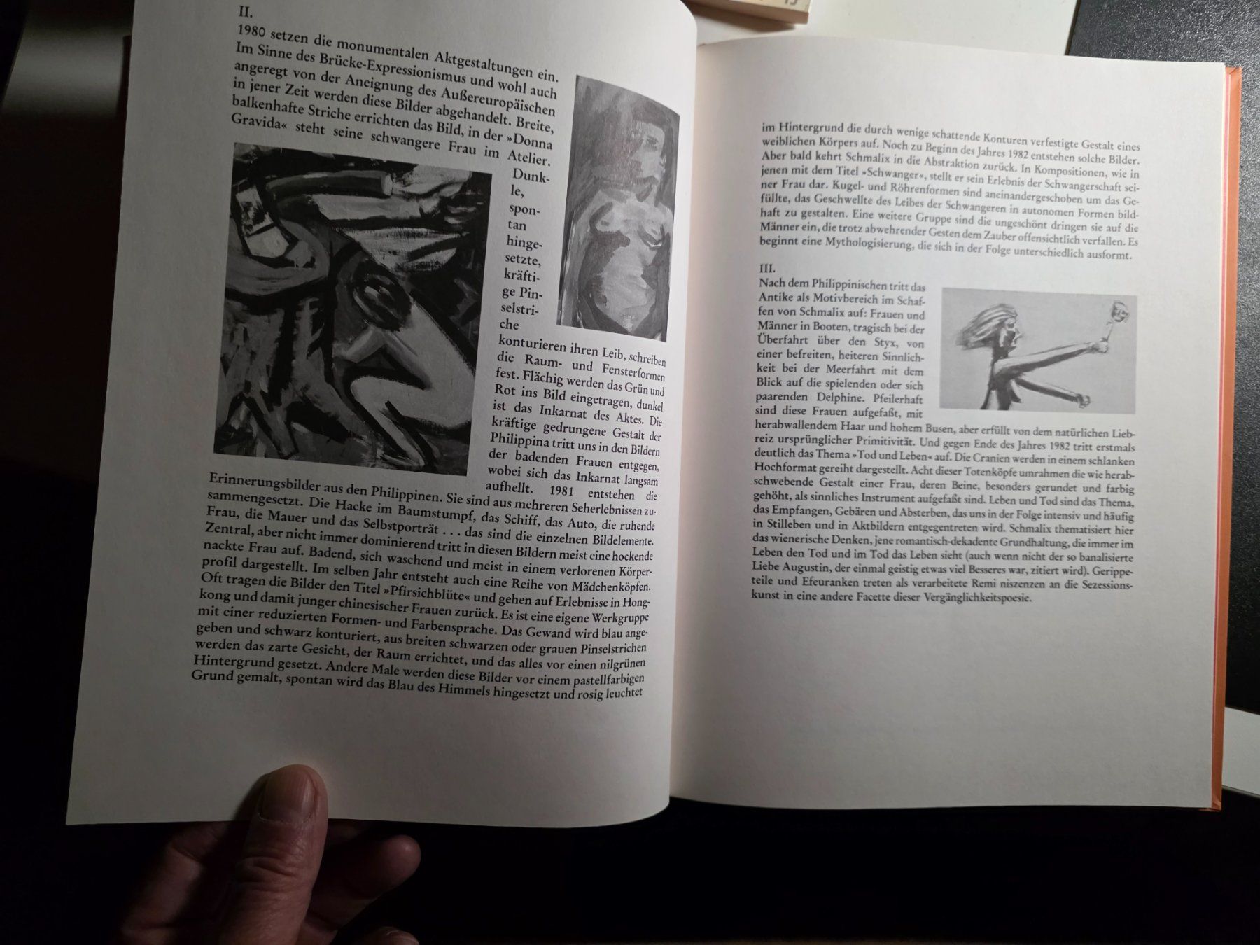 Libri: Yasmin und Iris - Hubert Schmalix - Kunst Buch 1986 – Usato da Walterswil BE venduto da Lonitti 6