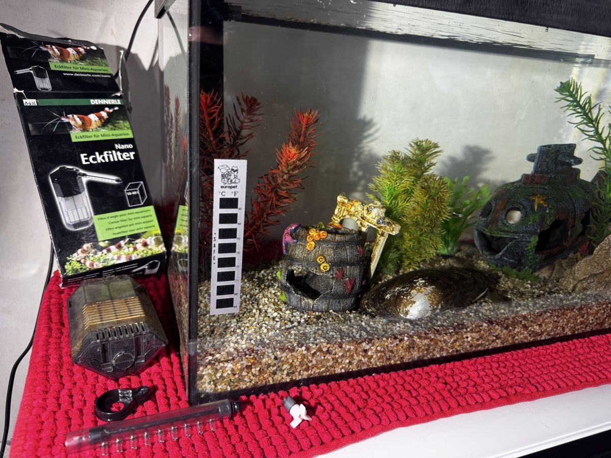 Acquari: Aquarium 60X30X30 54Liter – Difettoso da Basel venduto da bau_6tk8 2