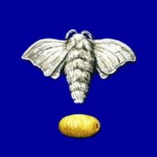 Profile image of UpcyclerSV