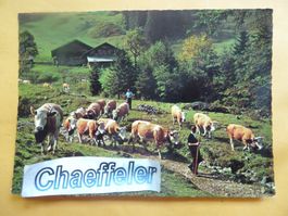 Alpabfahrt von Obersuld im Suldtal bei Aeschi