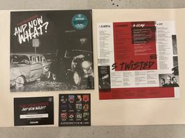 The Peacocks LP - And Now What (MINT ZUSTAND)