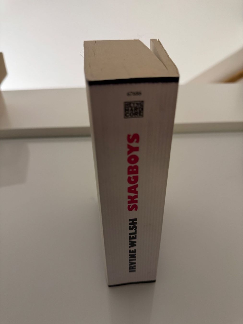 Libri: Skagboys – Irvine Welsh – Usato da Dietikon venduto da Julia.obers 1