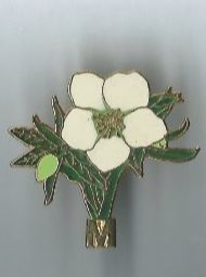 Plaquettes & Badges: Blume, Pin – D'occasion à Zürich par t24_de