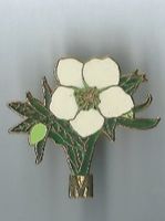 Blume, Pin