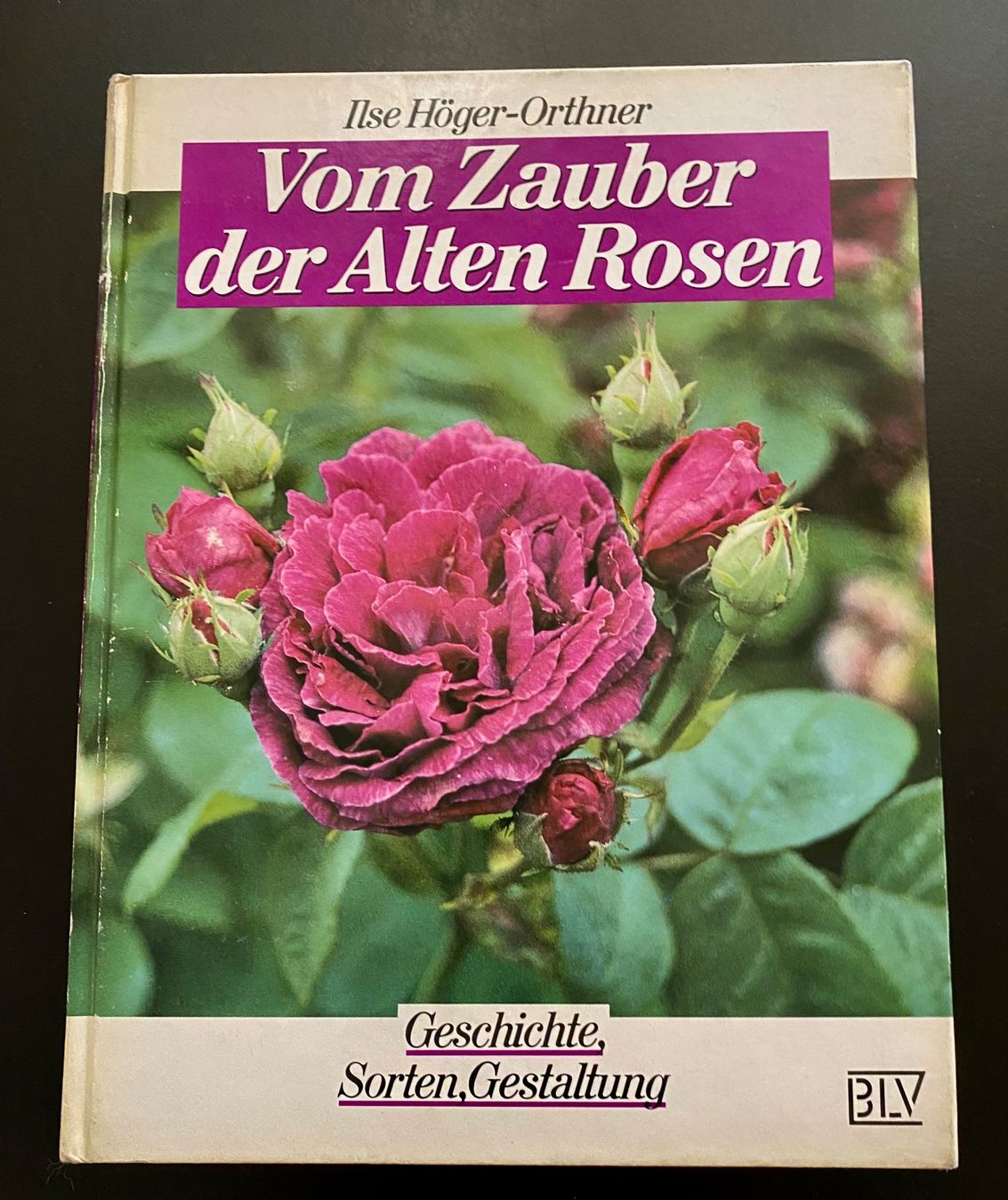 Livres: Vom Zauber der Alten Rosen – D'occasion à Nussbaumen AG par schuba2000