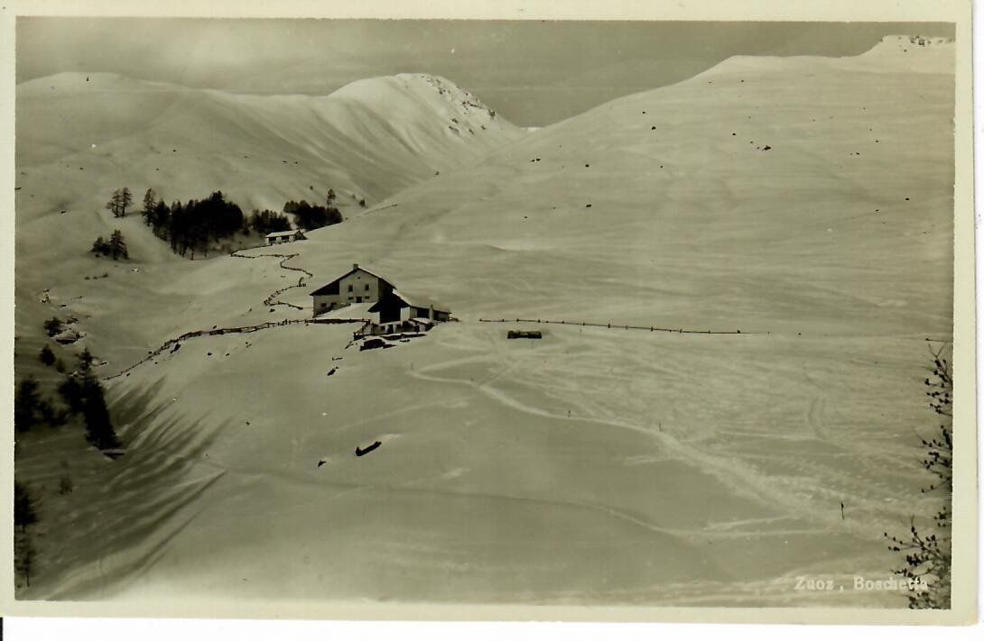 Cartes postales: Zuoz - Boschetta – D'occasion à Hochdorf par Ziegel-16