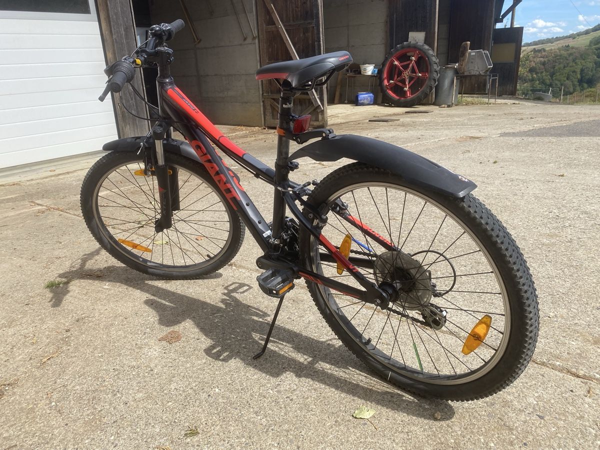 Giant Biciclette: Kindervelo Giant 24 Zoll – Usato da Thalheim AG venduto da wernliegg 1