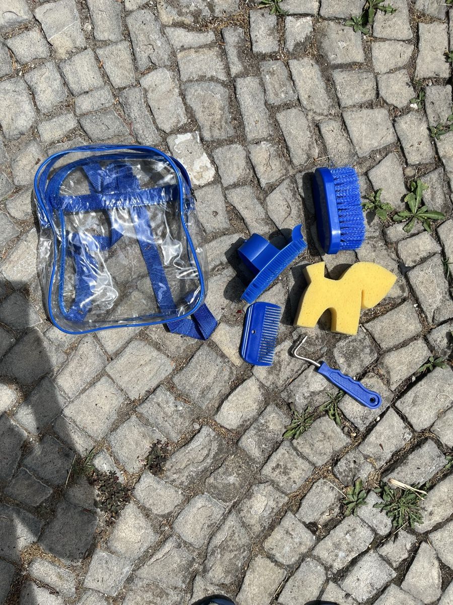 Jouets: Holzpferd, benutzt, war nie Draussen! – D'occasion à zuerich par luc_5snr 4