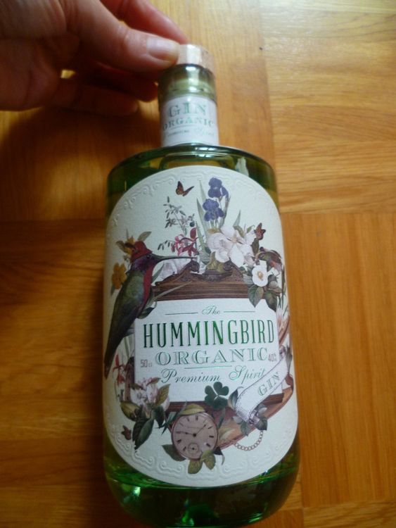 RICARDO GIN S BIELSA visual data 7