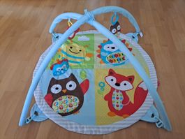 Spielbogen Baby Skip Hop guter Zustand