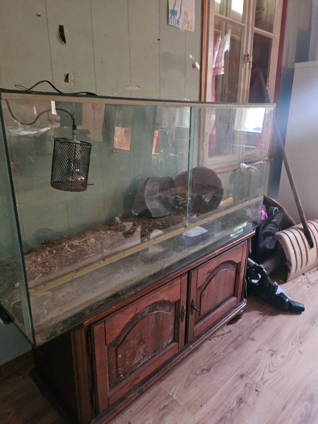 Terrarium: Glas Terrarium – Gebraucht aus Schwanden im Emmental von JAUN190