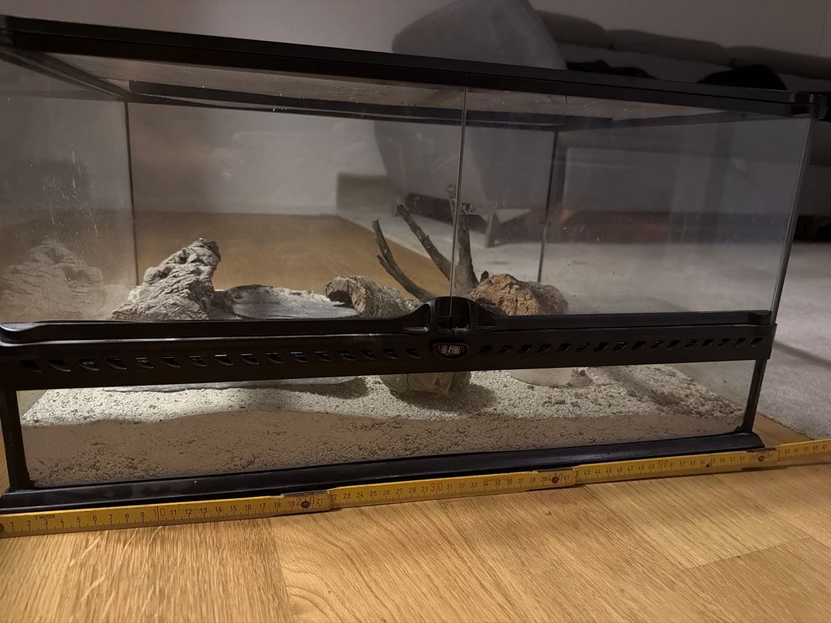 Terrariums: Exo terra Terrarium – D'occasion à Horgen par bok_6ttc 1