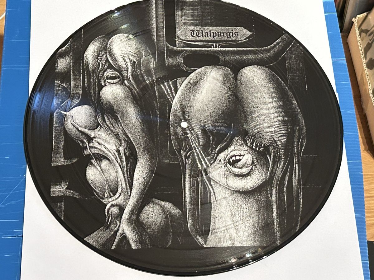 Dischi in vinile: Shiver. 2017. Limited Edition Numbered 492/1000 – Usato da Faulensee venduto da Mizuno06 7