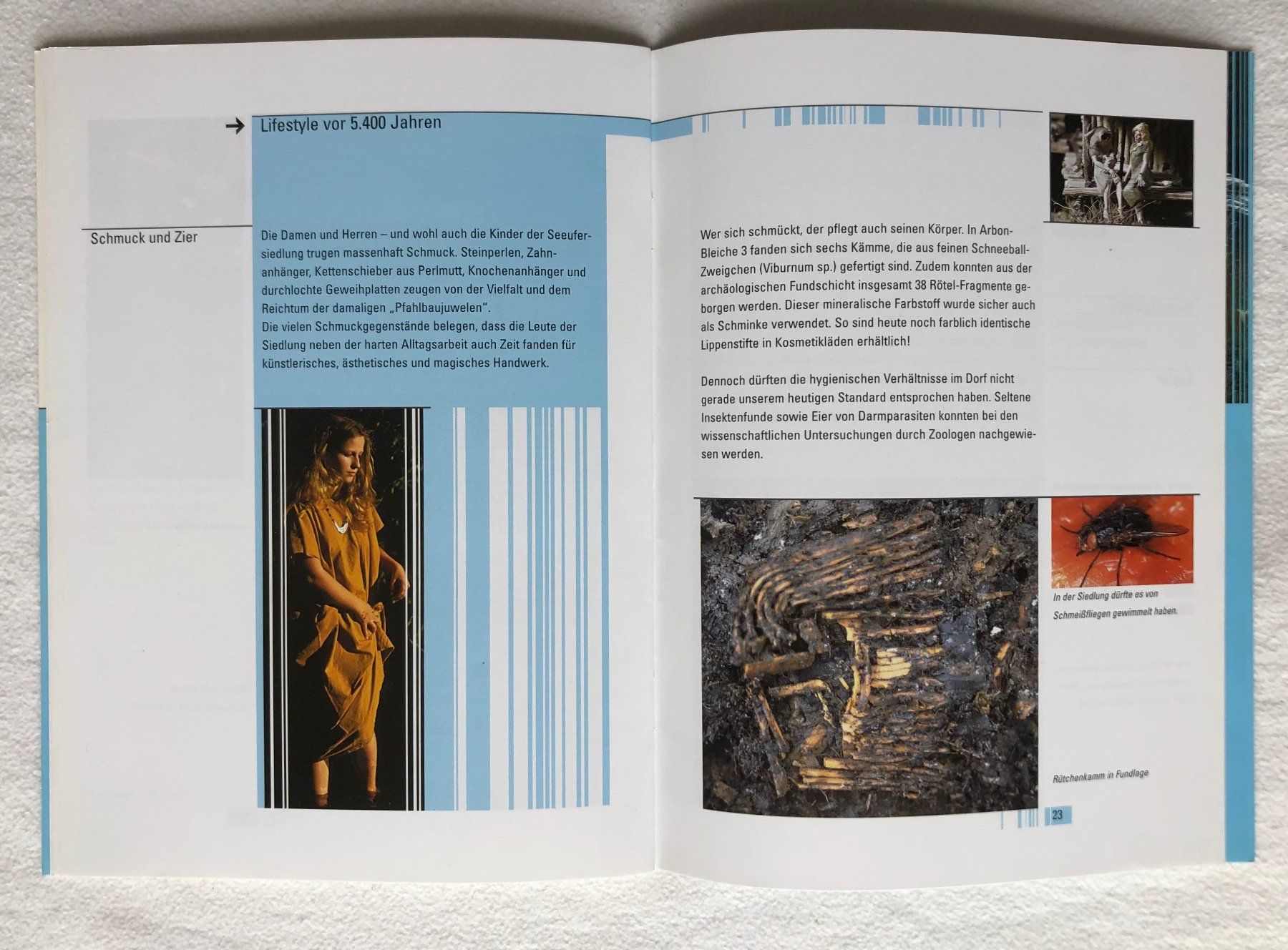 Libri: Seesicht, verbaut... – Usato da St.Gallen venduto da Paddington11 4