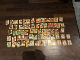 Panini WM 2026 68 Stk.