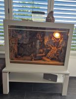 Terrarium mit Zubehör