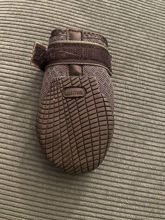 Abbigliamento: Hundeschuhe DogsCreek – Usato da Niederrohrdorf venduto da nat_p7qz 2