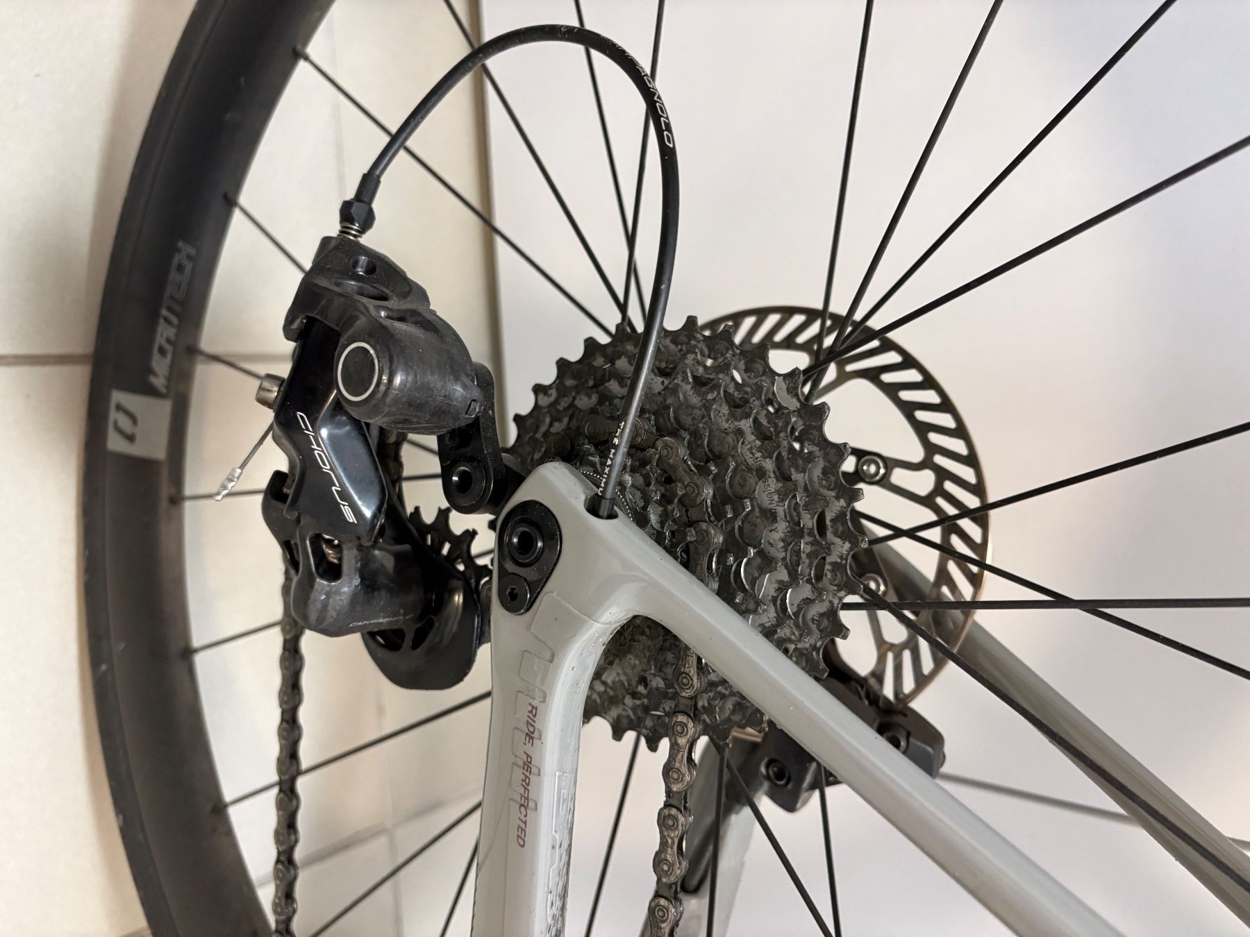 Biciclette: Vélo Basso Astra Disc Chorus – Usato da Aigle venduto da jva_b8rx 3