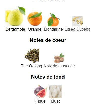 Nishane Profumi & Eau de Toilette: Wulong Cha (extrait), Nishane - Echantillon 3ml – Nuovo (secondo la descrizione) da Riehen venduto da ced_gs5t 3