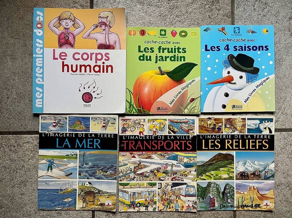 Bücher: Divers livres : imagiers, châteaux, mémo... – Gebraucht aus Bouveret von zozoh 1