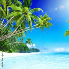 Profile image of Second_hand_paradise