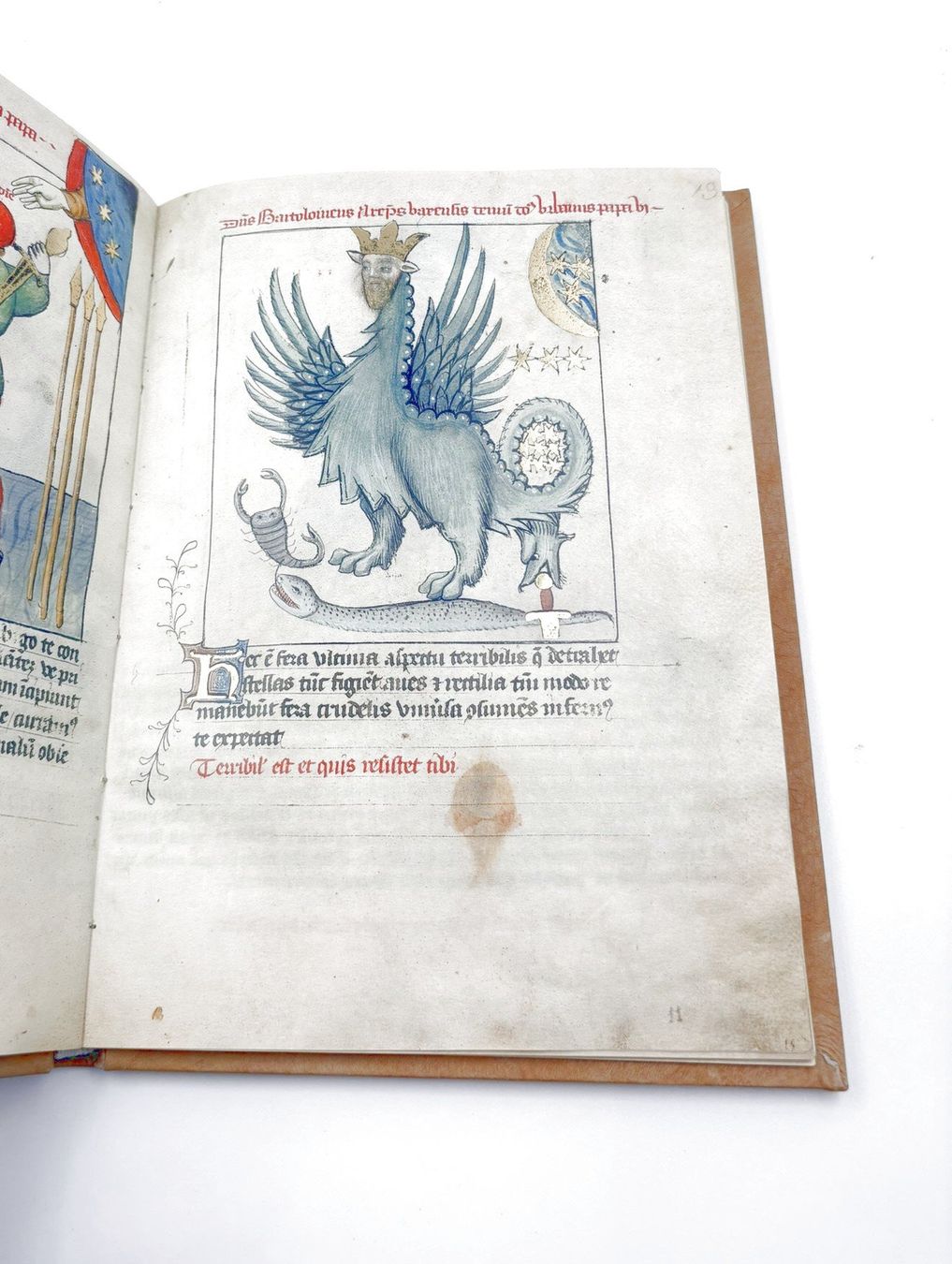 Libri: Vaticinia Pontificum, Faksimile – Nuovo (secondo la descrizione) da Hombrechtikon venduto da Bruenel 5