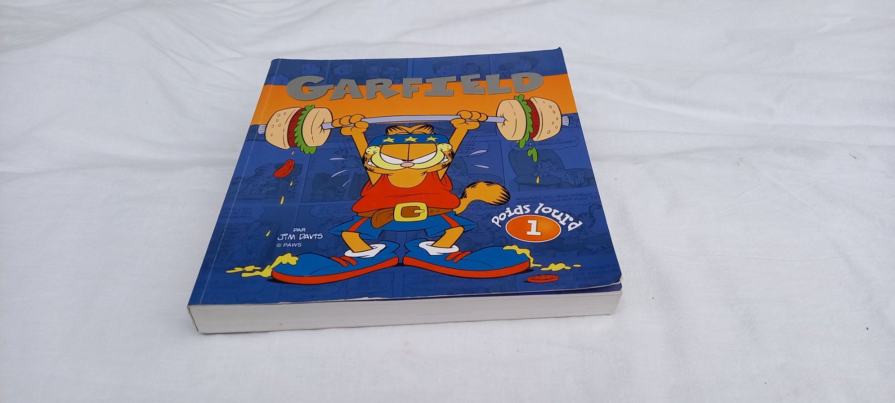 Fumetti: BD Garfield Poids lourd 1 Comic Livre – Usato da Fey venduto da sverigi 1