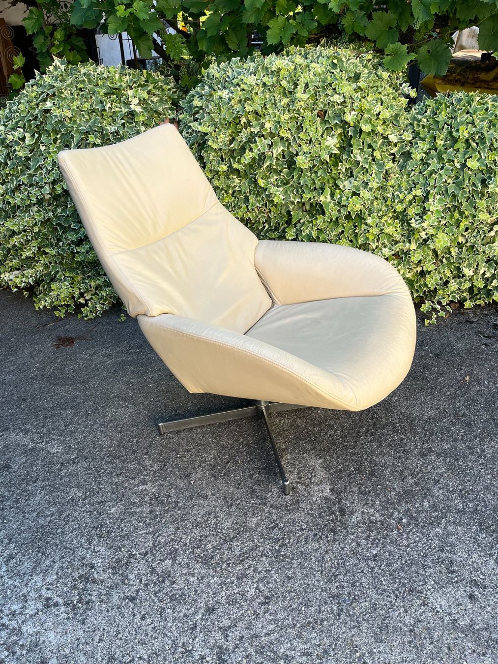 Pfister Poltrone: Ledersessel Lotus von Pfister – Usato da Steffisburg venduto da guidamba 2