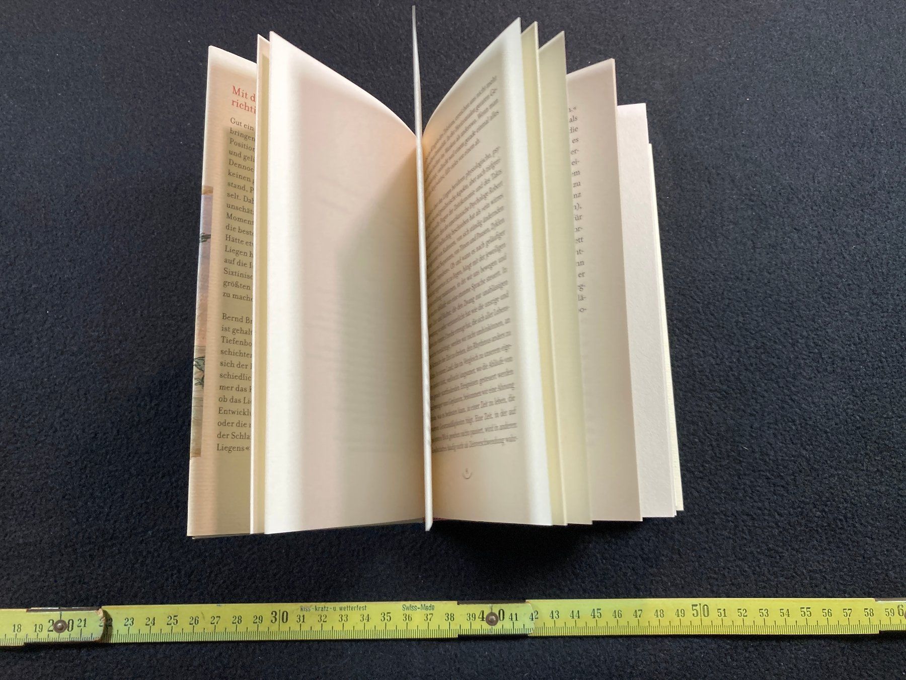 Libri: Bernd Brunner: Die Kunst des Liegens – Usato da Lenzburg venduto da fh1 8
