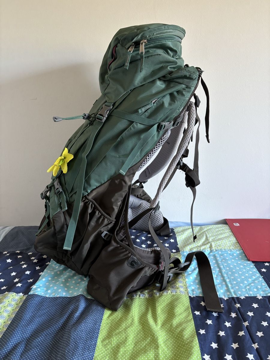 Deuter Sacs à dos: Rucksack – Neuf (Voir description) à Winterthur par Eisenbahn3 2