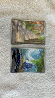 Pokémon Sammelkarten Mogelbaum & Skaraborn Nm