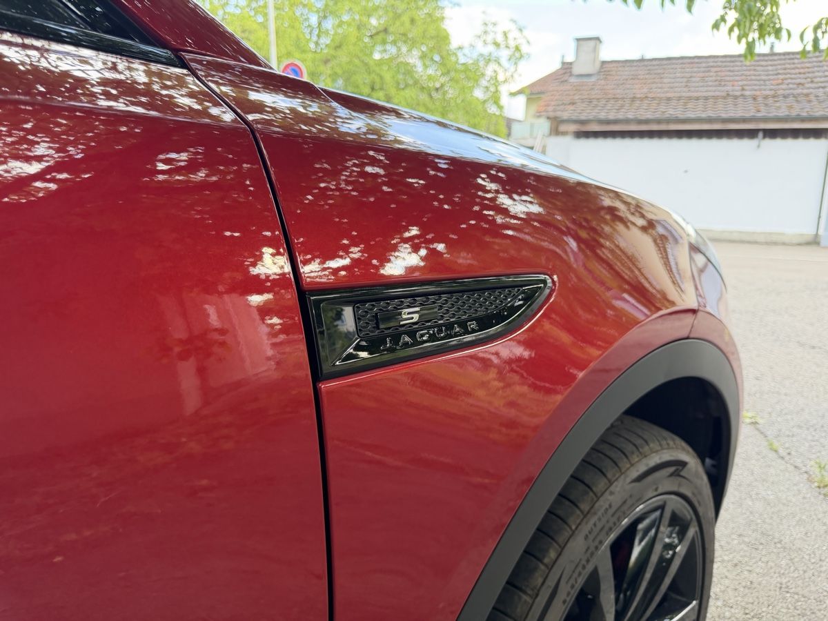 Jaguar Autos: JAGUAR E-Pace P250 AWD MFK 12.08.2026 – D'occasion à Amriswil par zsu_xj76 2