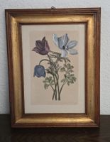 Antike Blumenbild-Druckgrafik mit Rahmen, signiert 🖼️