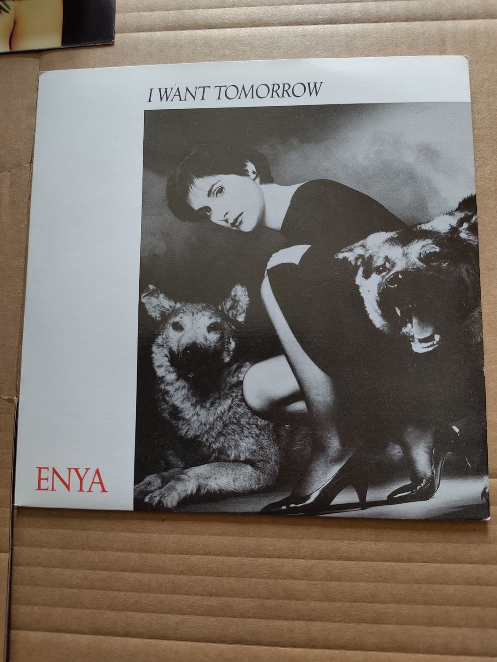 Dischi in vinile: Enya - I Want Tomorrow 7" Single – Usato da Büsserach venduto da Bey23