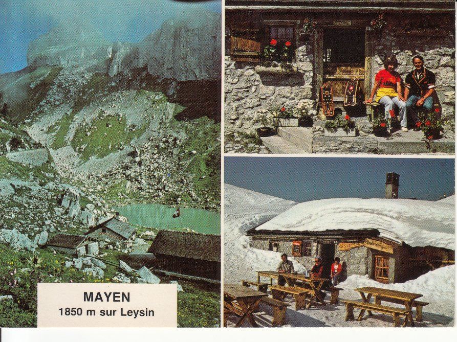 Ansichtskarten: Mayen 1990 – Gebraucht aus Bürglen TG von StampGraf