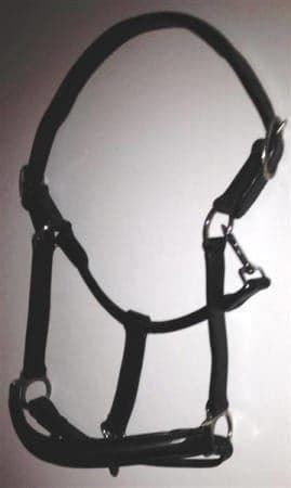 Briglie & Cavezze: Pferde-Lederhalfter "Kent" schwarz Full – Nuovo e nell'imballaggio originale da St. Gallen venduto da schnaeppchen-preise 2