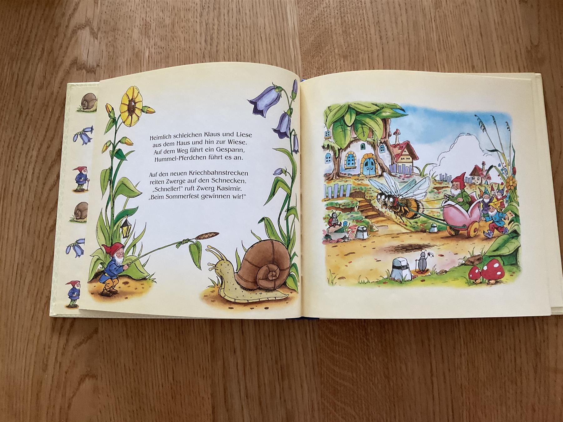 Libri: Sommerfest im Zwergendorf – Nuovo (secondo la descrizione) da Wetzikon ZH venduto da Libelle01 4